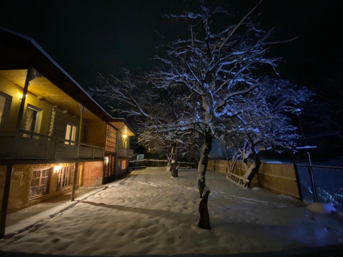 Art Villa Bakuriani Eksteriør bilde